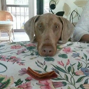 Meet your Posher, Susan